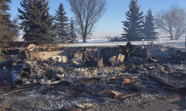 Saskatchewan family credits dog with saving a life - image