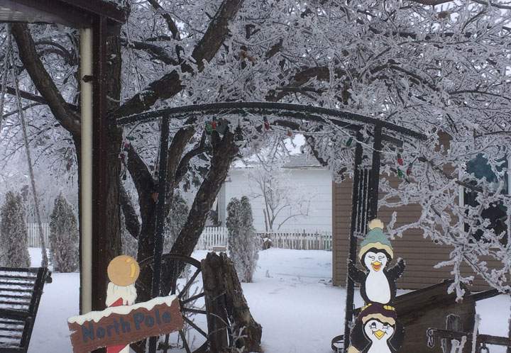 This photo of hoar frost was submitted by Terry Orban at Dinsmore, Sask.