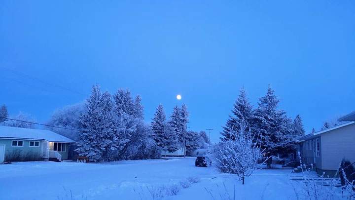 This photo of hoar frost was taken by Terry Prosper in St. Louis, Sask.