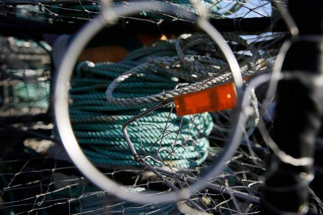 In this photo taken Thursday, Nov. 12, 2015, lines are seen inside one of crab fisherman Jim Anderson's crab pots in Half Moon Bay, Calif.