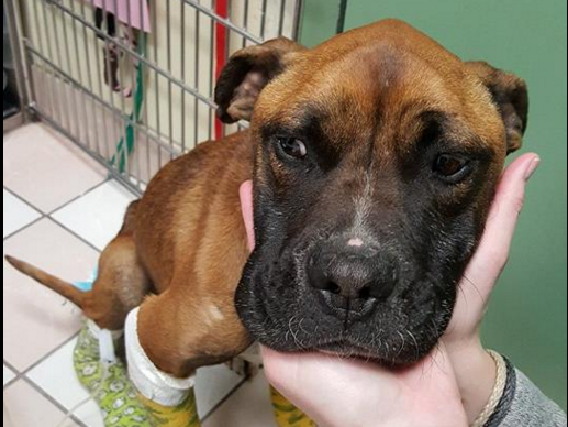 George is getting better, but has a long road to recovery. 