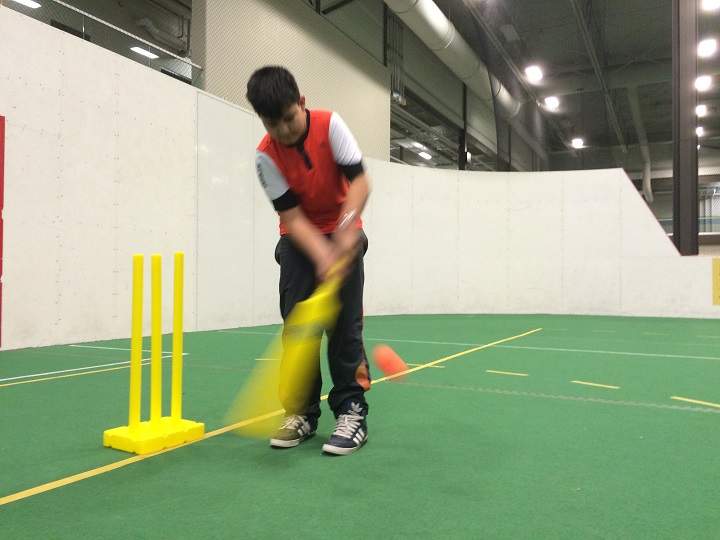 Winter cricket