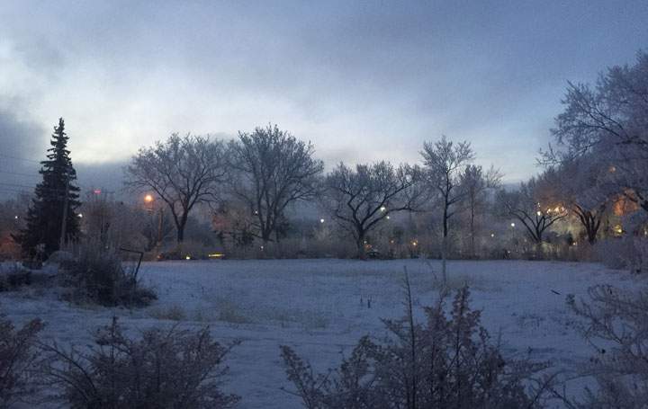 This photo of hoar frost sent in by Sherry Myers was taken in Saskatoon.