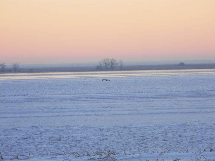 A submerged truck is visible from the Last Mountain Lake shoreline. On Dec. 1, two fishermen escaped from the vehicle after it fell through the ice when they were driving off of the lake.