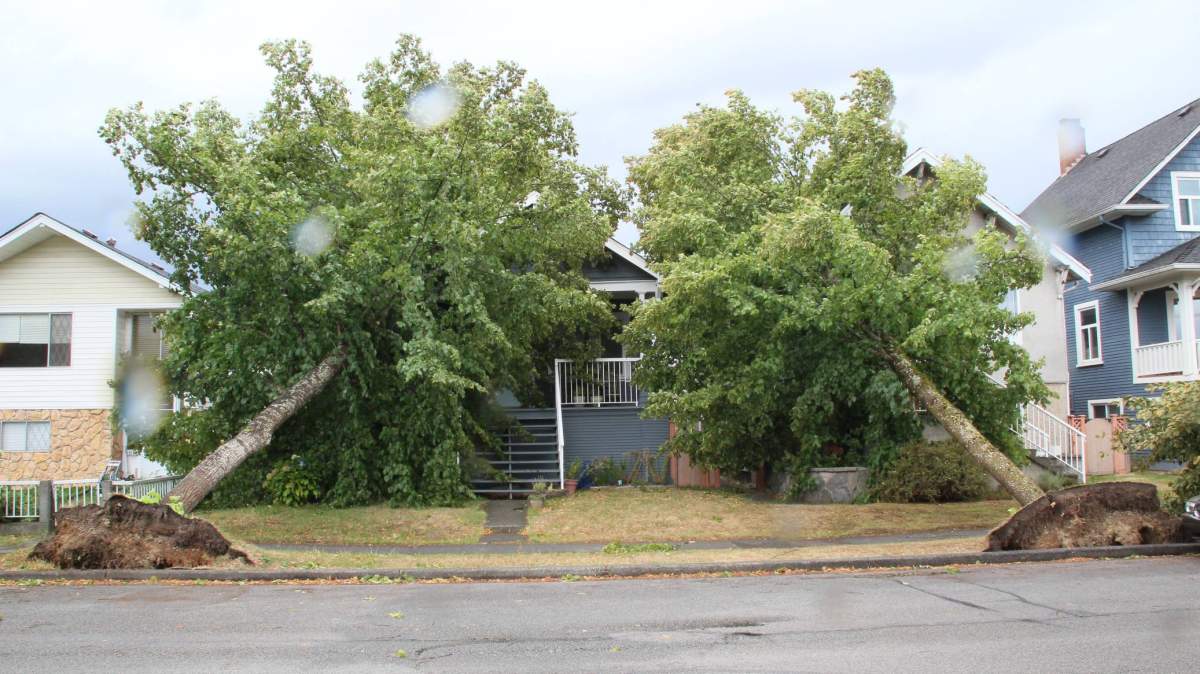 QUIZ: Do you remember these B.C. news stories from 2015? - image