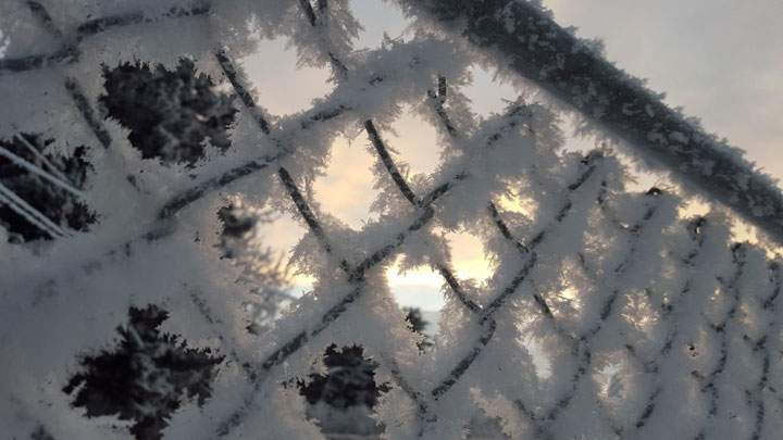 This photo of hoar frost was taken in Luseland, Sask. by Lacy Sletten.