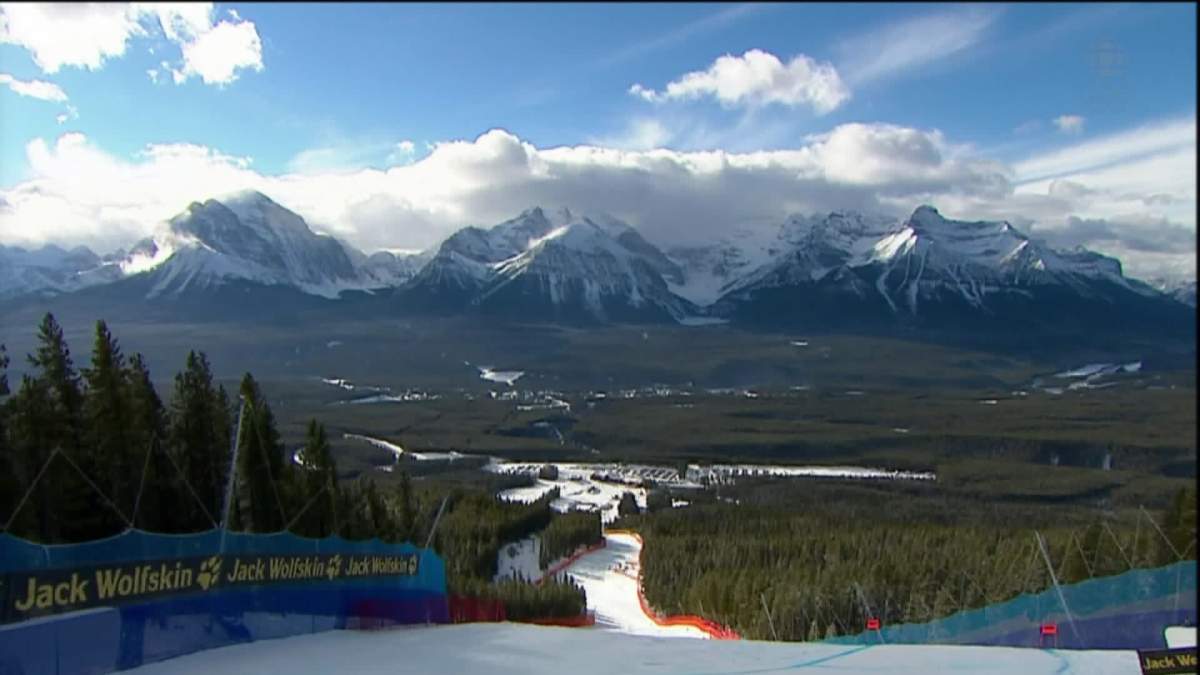 Lake Louise in court for cutting down endangered trees.