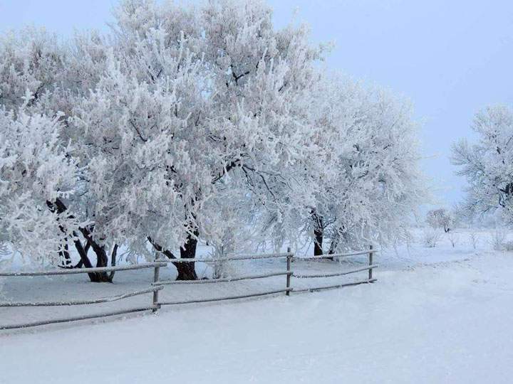 This photo of hoar frost was sent in by Linda Asztalos from her farm near Bradwell, Sask.