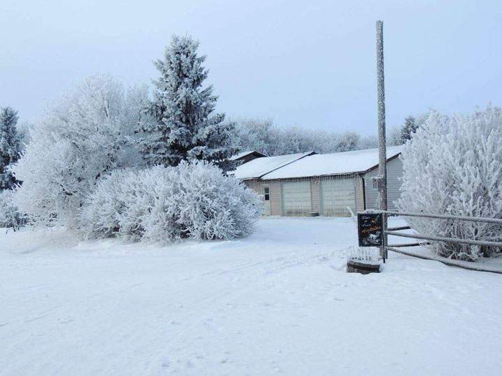 This photo of hoar frost was sent in by Linda Asztalos from her farm near Bradwell, Sask.