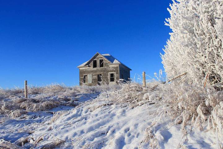 This photo of hoar frost was taken near Herbert, Sask. by Krista Routledge.