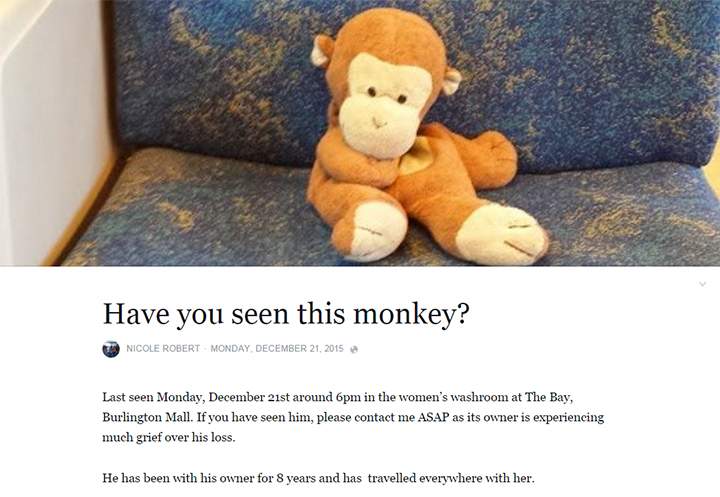 Ontario mother hopes to solve daughter’s missing monkey mystery in time for Christmas - image