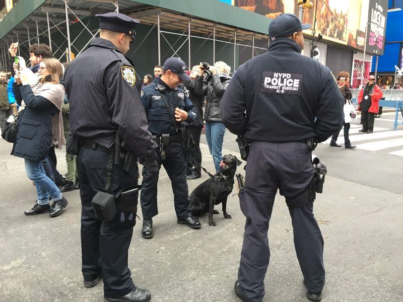 Heightened security on New Year’s Eve in Canada and around the world - image