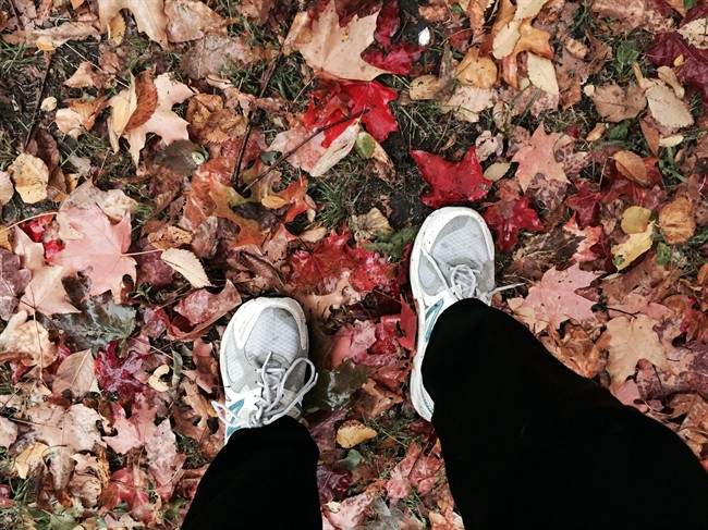 Autumn weather is finally arriving in southern Manitoba, meteorologists say.