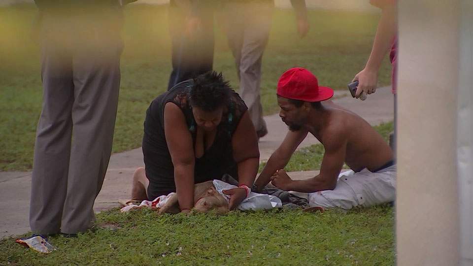 Hero dog comforted by owner’s mom after saving her from stabbing attack - image