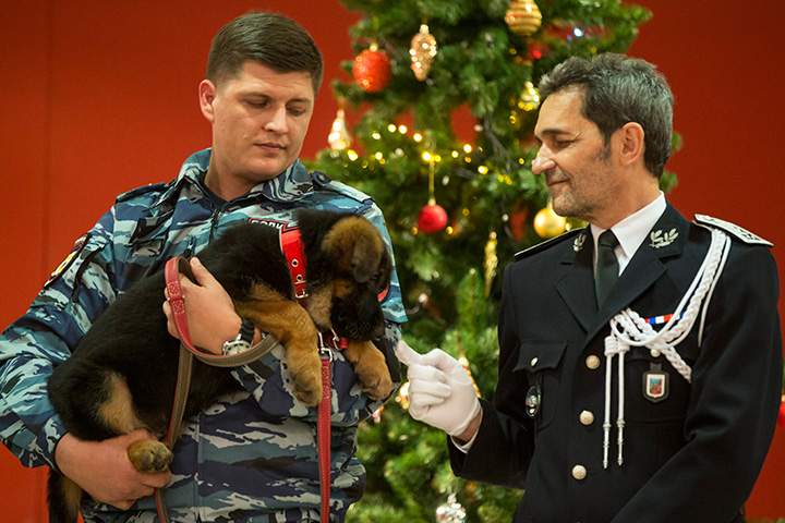 A Russian police officer holds a puppy, named Dobrynya, before presenting the dog to police at the French Embassy in Moscow, Russia on Monday, Dec. 7, 2015.