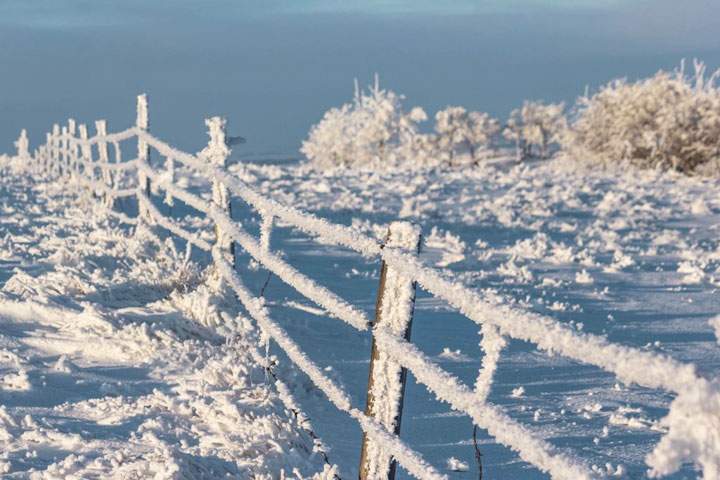 Dec. 26: This Your Saskatchewan photo was taken by Cynthia Salgado west of Kindersley.