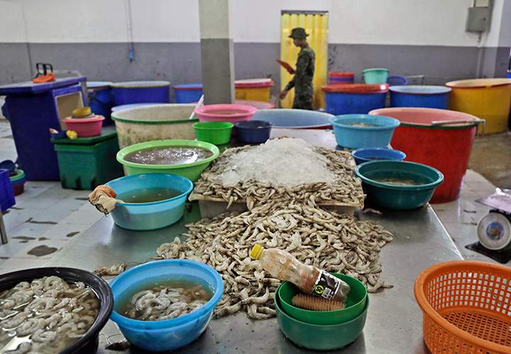 In this Monday, Nov. 9, 2015 photo, shrimp are left on an abandoned peeling table as a Thai soldier walks past during a raid on a shrimp shed in Samut Sakhon, Thailand.
