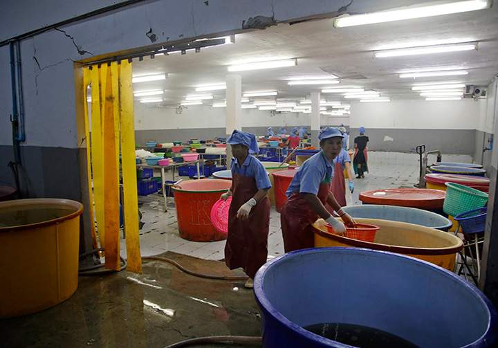 In this Monday, Nov. 9, 2015 photo, workers react during a raid on a shrimp shed conducted by Thailand’s Department of Special Investigation in Samut Sakhon, Thailand.