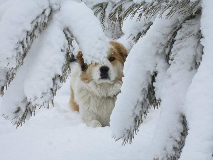 Jan. 14: Sharon Thomson took this Your Saskatchewan photo south of Alsask.