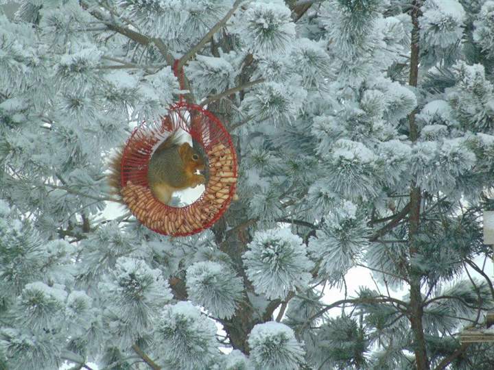 Jan. 15: This Your Saskatchewan photo was taken near Foam Lake by Faye Campbell.
