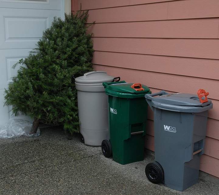 The "Treecycle" program where Regina residents can recycle their Christmas trees have kicked off this week and lasts until end of January.