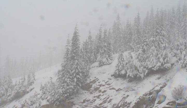 Search Manager Doug Pope says if you're heading to the mountains make sure to be prepared with sturdy hiking boots and traction devices.
