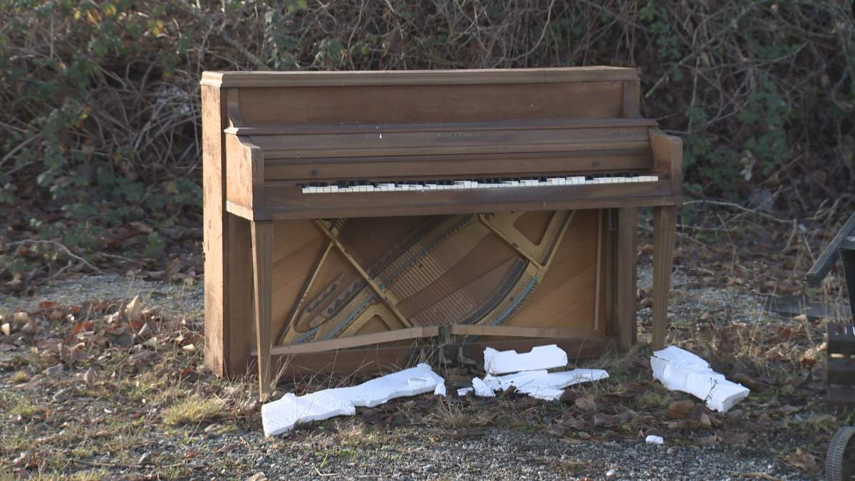 Problem of illegal dumping growing in Metro Vancouver - image