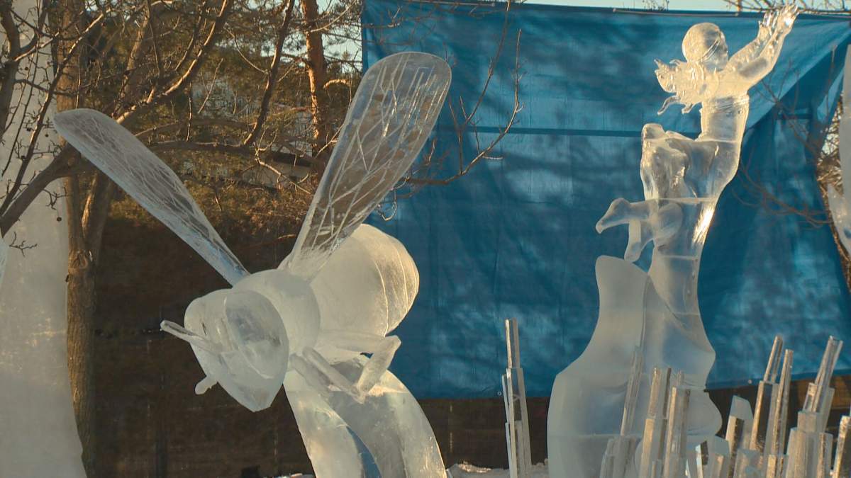 Mild weekend weather has Edmontonians flocking to Ice on Whyte - image