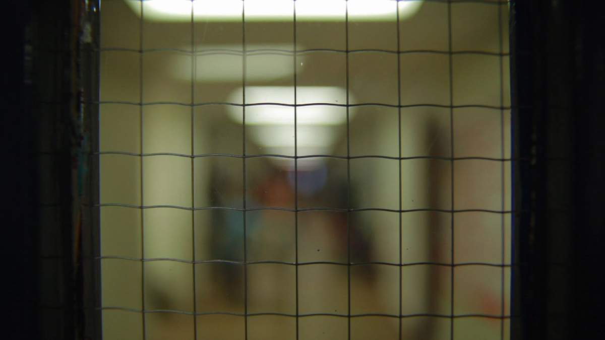 Wired glass can be an accident waiting to happen – causing injuries that take people to the brink of death.