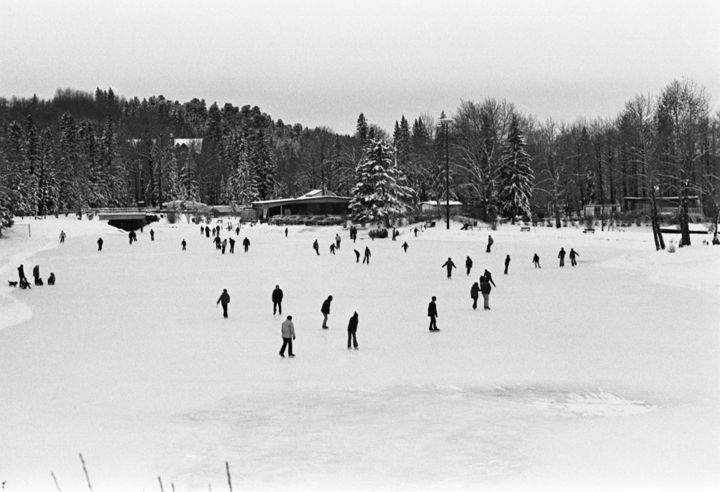 Bowness Calgary