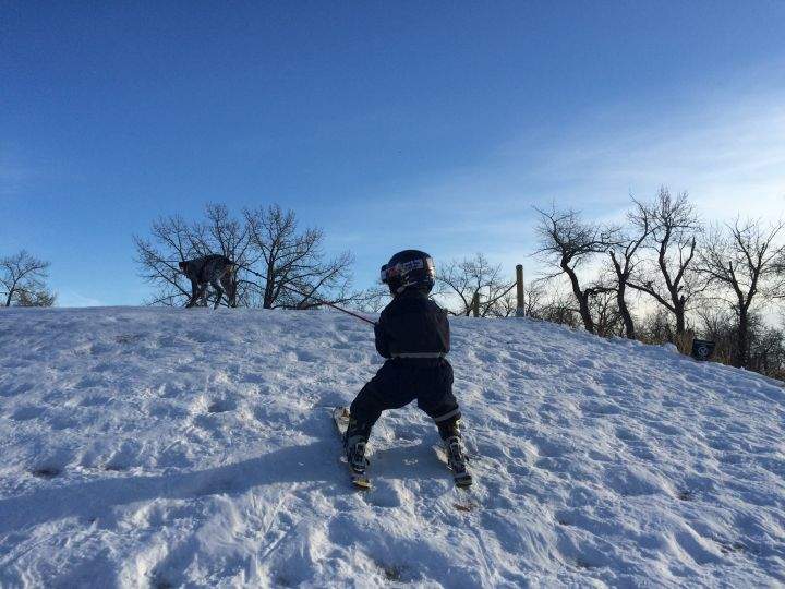 Hunter dog pulling kid