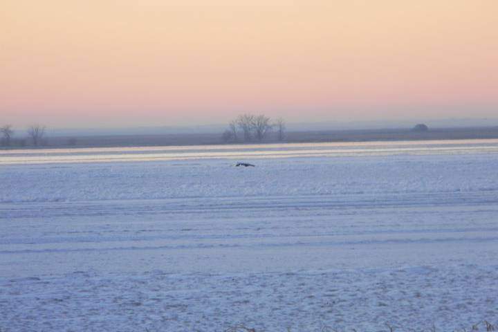 A submerged truck is visible from the Last Mountain Lake shoreline. On Dec. 1, two fishermen escaped from the vehicle after it fell through the ice when they were driving off of the lake.