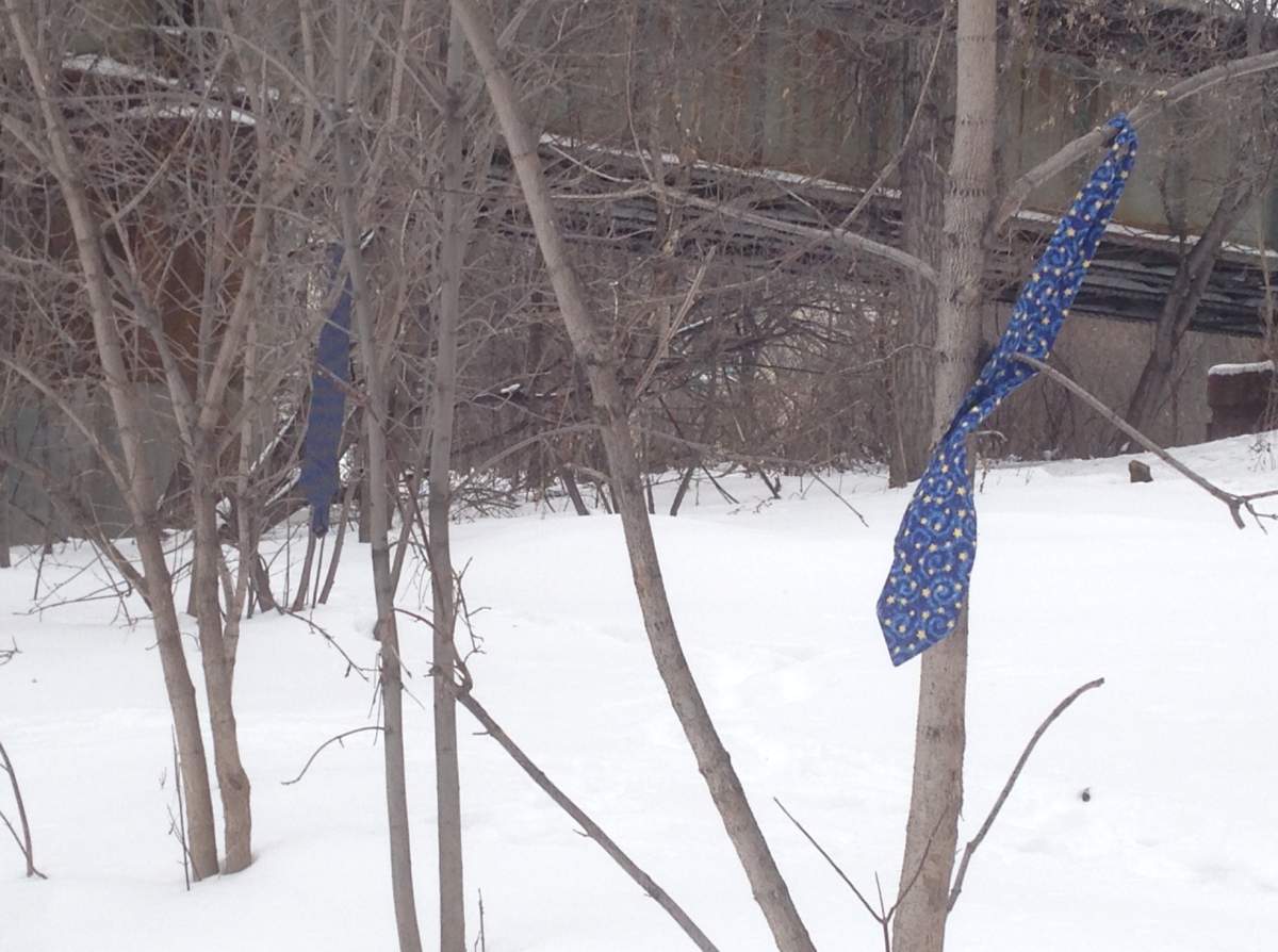 Neck ties that are part of an awareness campaign for missing indigenous men.