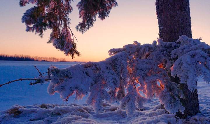 Jan. 7: This Your Saskatchewan photo was taken by Kevin Clark at Fosston.