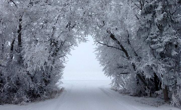 Jan. 8: This Your Saskatchewan photo was taken by Jenn Kreese near Leask.