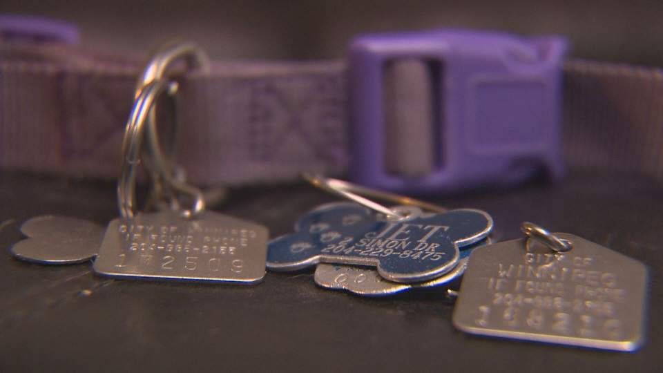 City of Winnipeg will be doing door To door dog licensing checks.