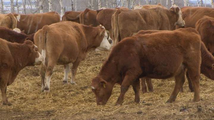 The provincial and federal governments are putting $7.8 million toward 26 agriculture research projects. The private sector is also investing $800,000.