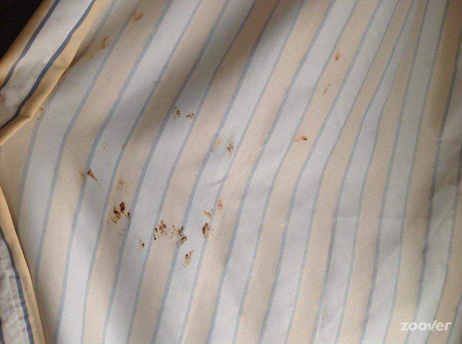 A picture of the bedding at the resort taken by Lorna Grimes.