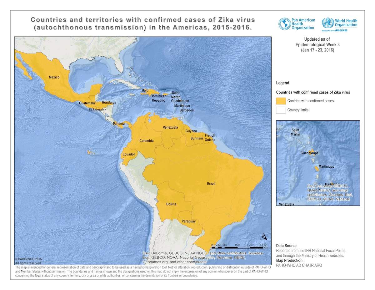 WATCH: B.C. woman warns others against booking vacations while Zika virus continues to spread - image