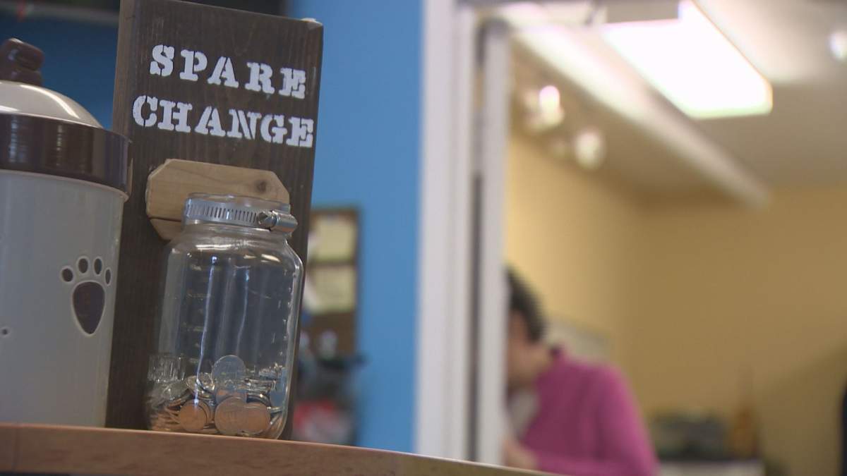 The cost to treat all of the cats could cost up to $30,000, according to a Nova Scotia SPCA spokesperson.
