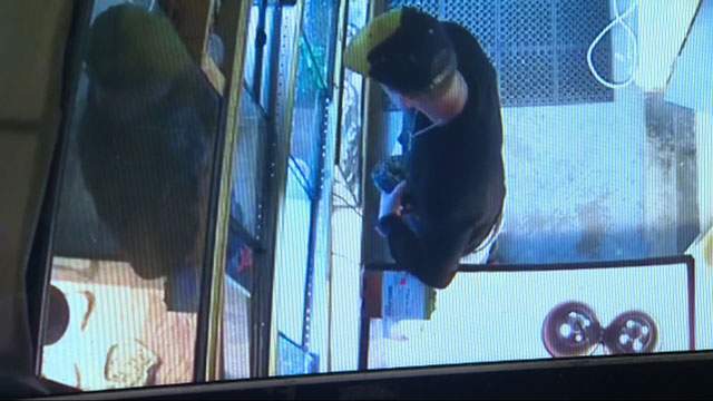 Caught on camera: man steals 2-foot long python by shoving it down his pants - image