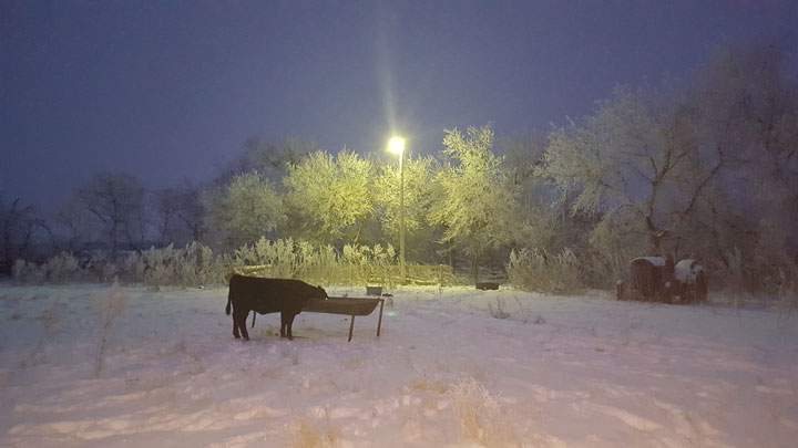 Jan. 3: This Your Saskatchewan photo was taken by Marcy Yewsuk near Melville.