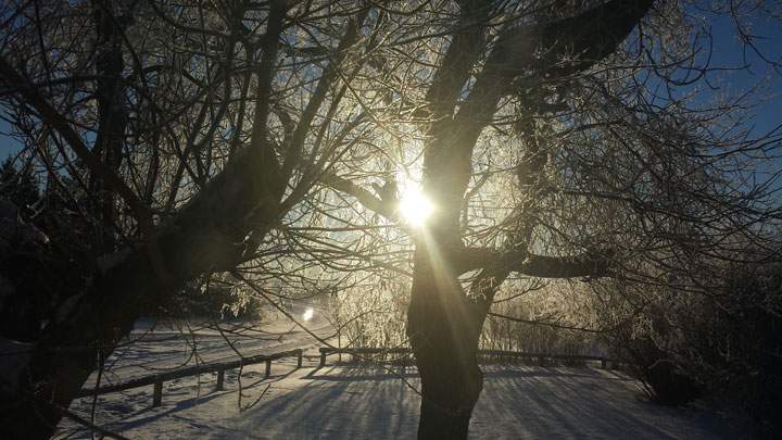Jan. 17: This Your Saskatchewan photo was taken by Pat Borchardt near Biggar.