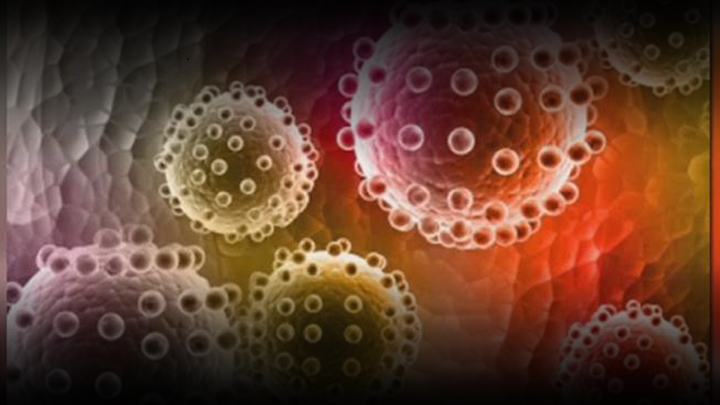 Zika virus.