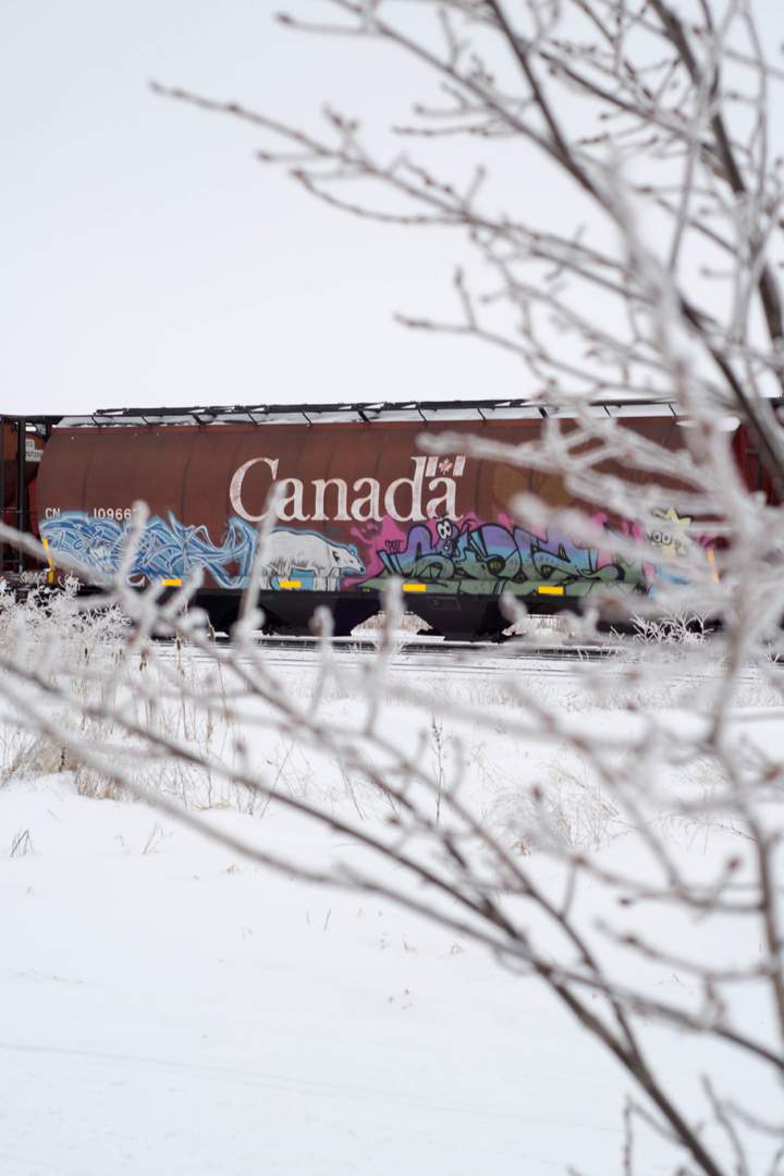 Feb. 4: Ray Whitton took this Your Saskatchewan photo in Humboldt.
