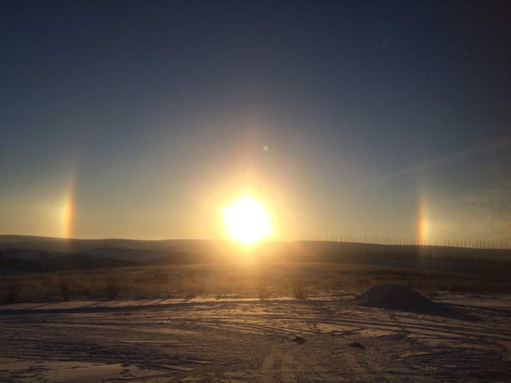 Feb. 6: Shawna Kowalchuk took this Your Saskatchewan photo at Bear Hills Polar Pork Farm near Perdue.