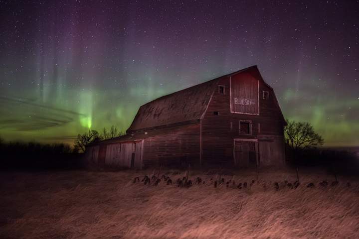 Feb. 9: This Your Saskatchewan photo of the aurora was taken by Craig Hilts near Morse.