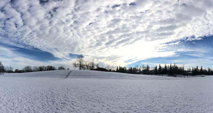 Feb. 10: This Your Saskatchewan photo was taken in Saskatoon by Chelsea Roesch.