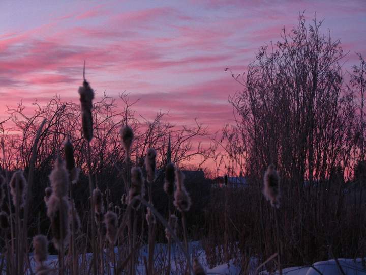 Feb. 12: This Your Saskatchewan photo was taken by Dorothy Caisse at Île-à-la-Crosse.