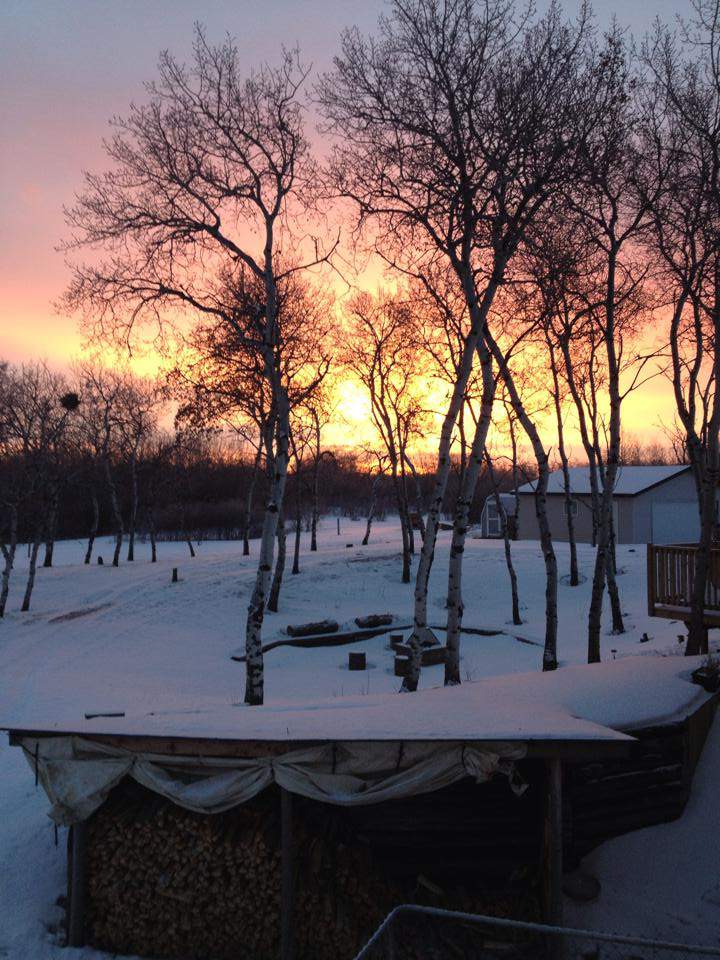 Feb. 15: Tracy Forsberg took this Your Saskatchewan photo just south of Saskatoon.